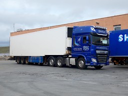 DAF XF Artic Unit